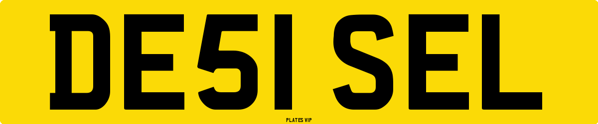 DE51 SEL Number Plate
