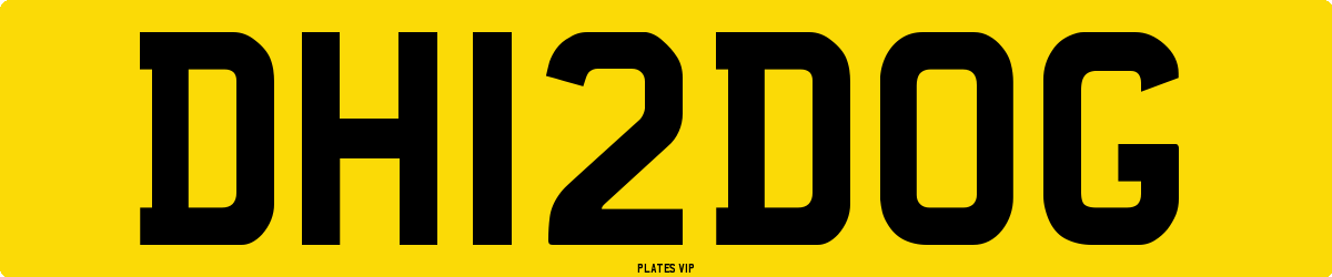 DH 12 DOG Number Plate