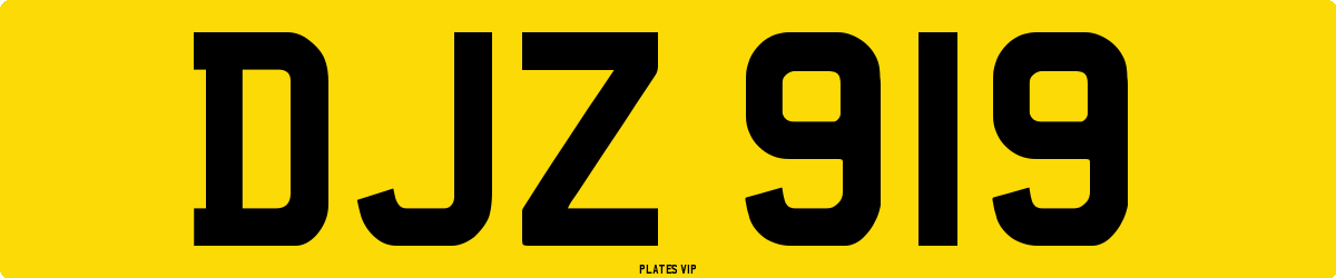 DJZ 919 Number Plate