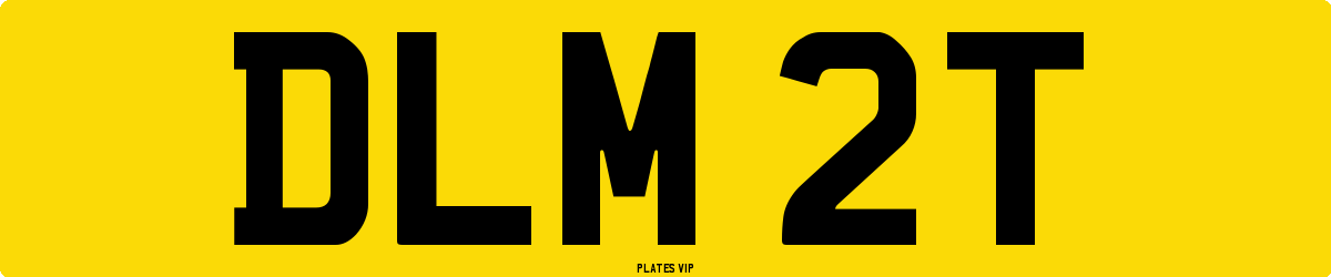 DLM 2T Number Plate