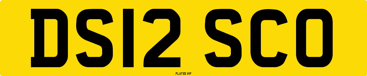 DS12 SCO Number Plate