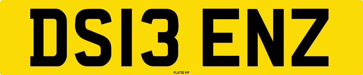 DS13 ENZ Number Plate