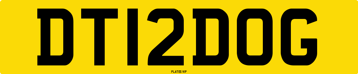 DT 12 DOG Number Plate