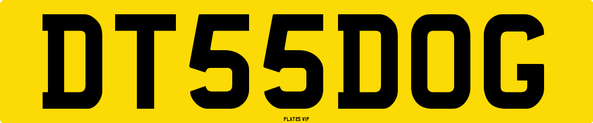 DT 55 DOG Number Plate