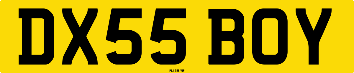 DX55 BOY Number Plate
