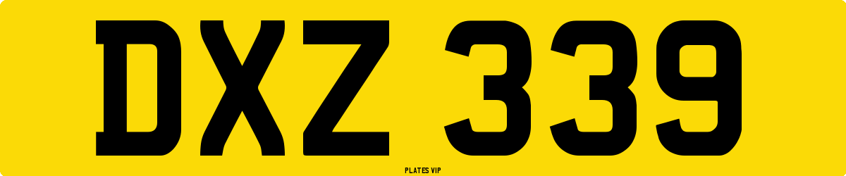DXZ 339 Number Plate