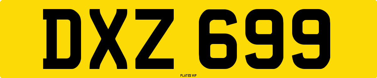 DXZ 699 Number Plate