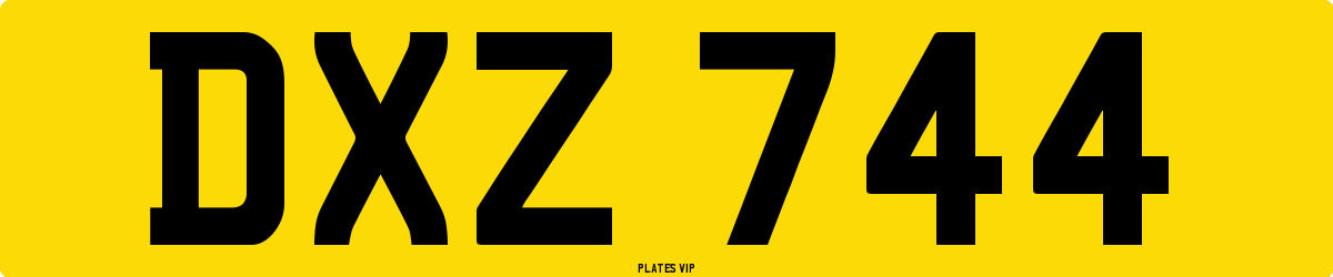 DXZ 744 Number Plate