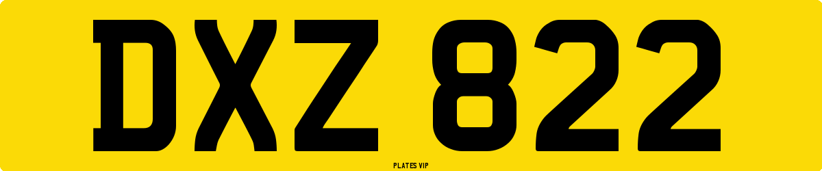 DXZ 822 Number Plate