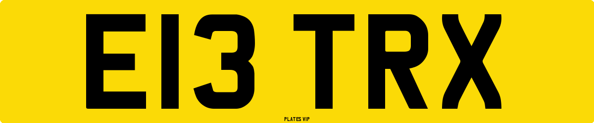 E13 TRX Number Plate