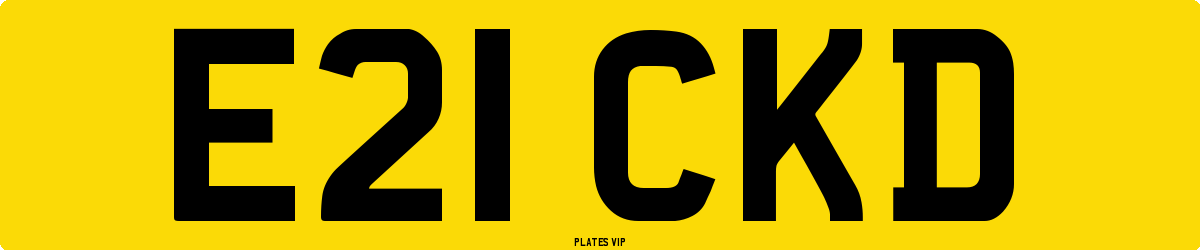 E21 CKD Number Plate
