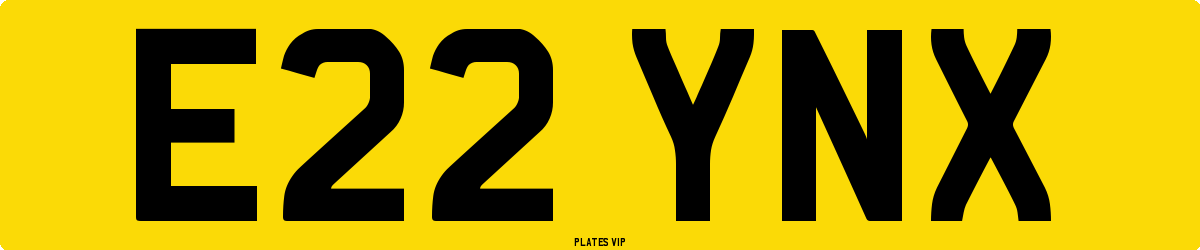 E22 YNX Number Plate
