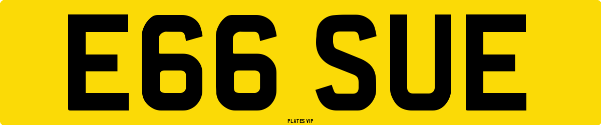 E66 SUE Number Plate