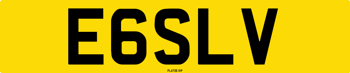 E6SLV Number Plate
