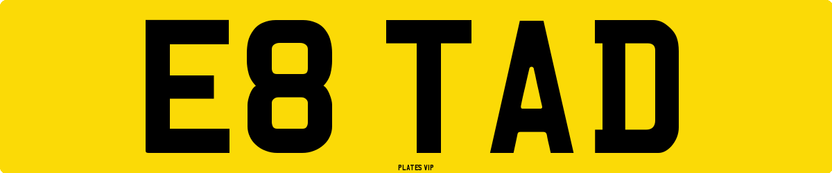 E8 TAD Number Plate