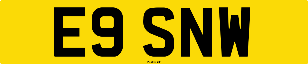 E9 SNW Number Plate