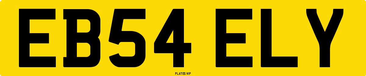 EB54 ELY Number Plate