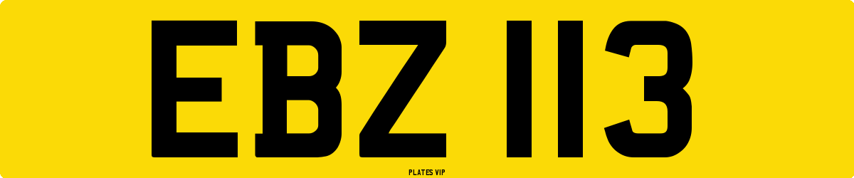 EBZ 113 Number Plate