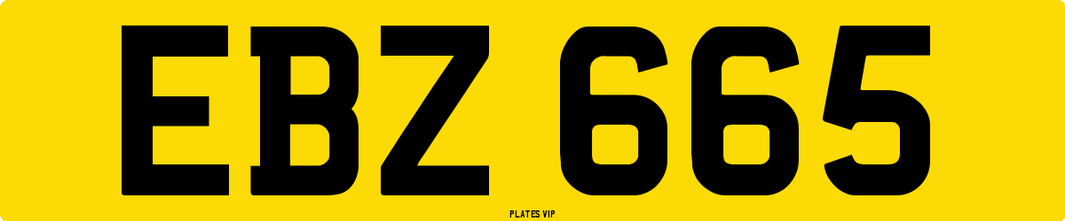 EBZ 665 Number Plate