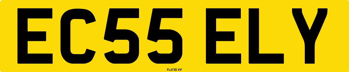 EC55 ELY Number Plate