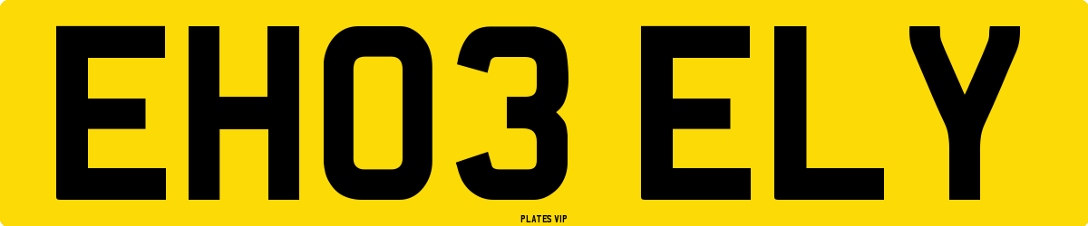 EH03 ELY Number Plate