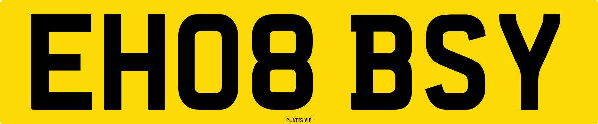 EH08 BSY Number Plate