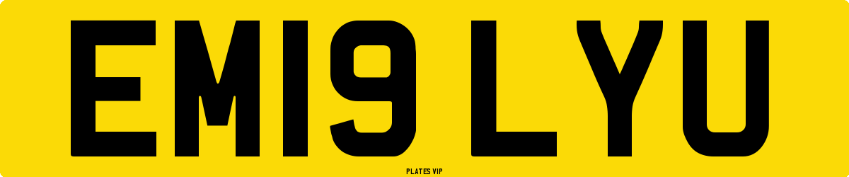 EM19 LYU Number Plate