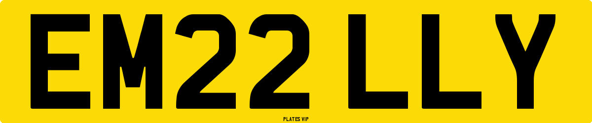 EM22 LLY Number Plate
