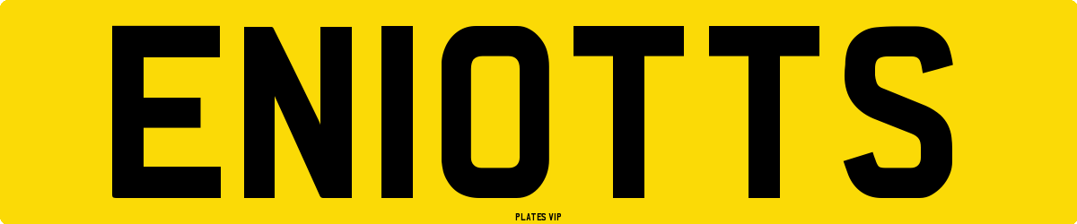 EN10TTS Number Plate