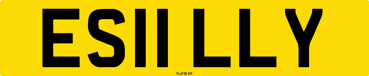 ES11 LLY Number Plate