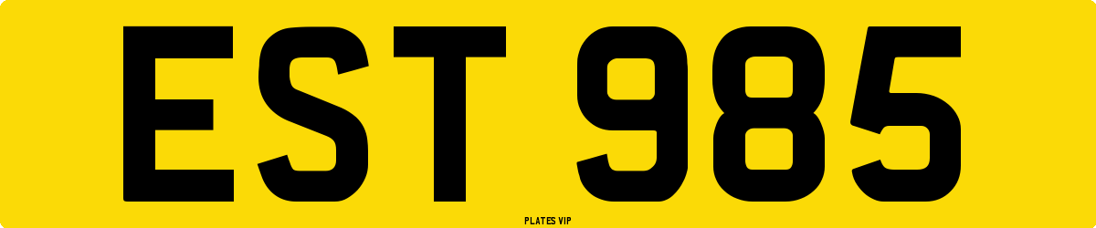 EST 985 Number Plate