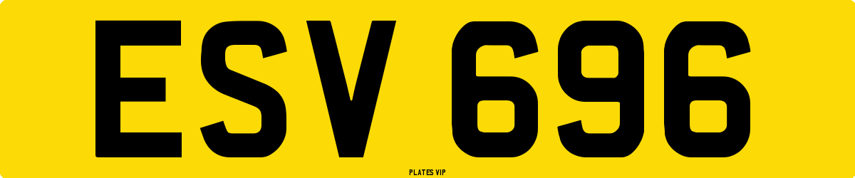 ESV 696 Number Plate