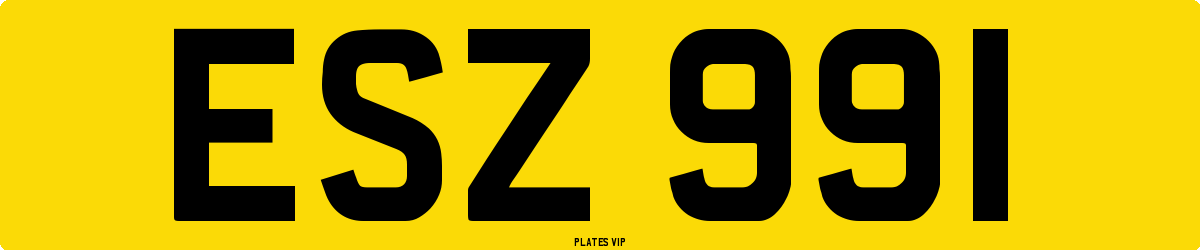 ESZ 991 Number Plate