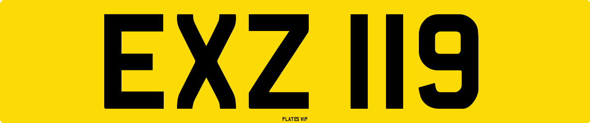EXZ 119 Number Plate