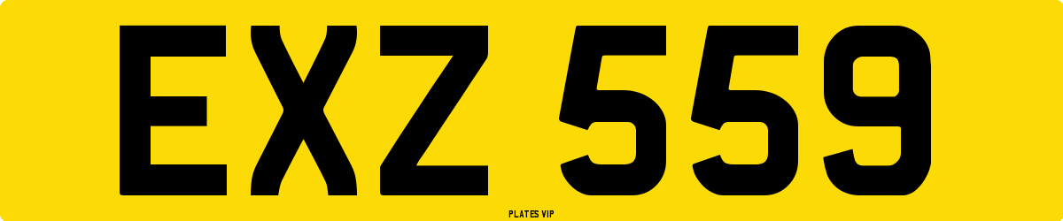 EXZ 559 Number Plate