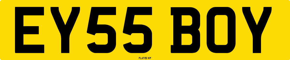EY55 BOY Number Plate