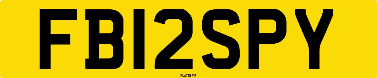 F B12 SPY Number Plate