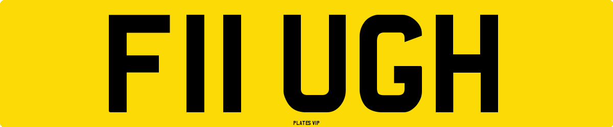 F11 UGH Number Plate