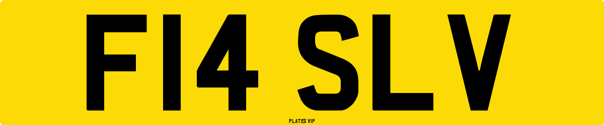 F14 SLV Number Plate