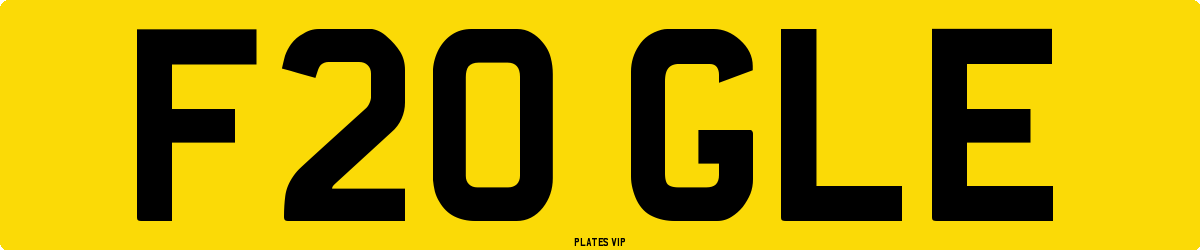 F20 GLE Number Plate