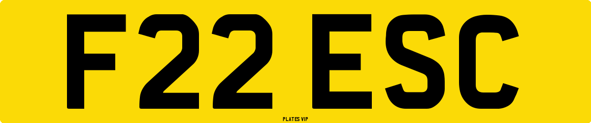 F22 ESC Number Plate