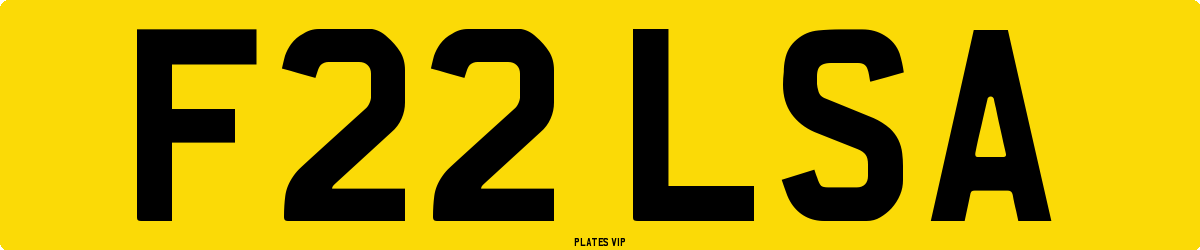 F22 LSA Number Plate