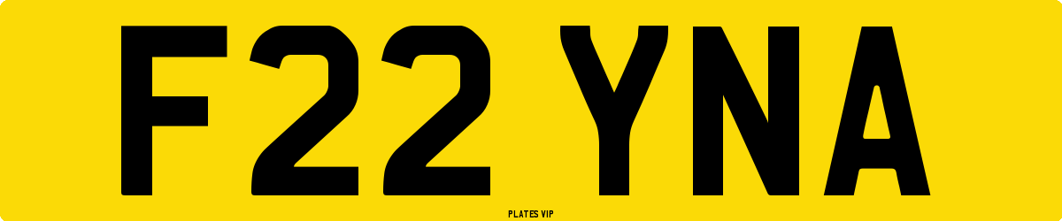 F22 YNA Number Plate