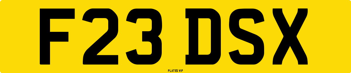 F23 DSX Number Plate