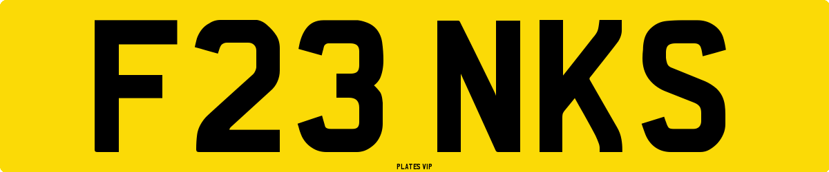 F23 NKS Number Plate