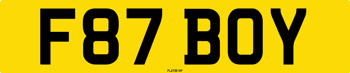 F87 BOY Number Plate