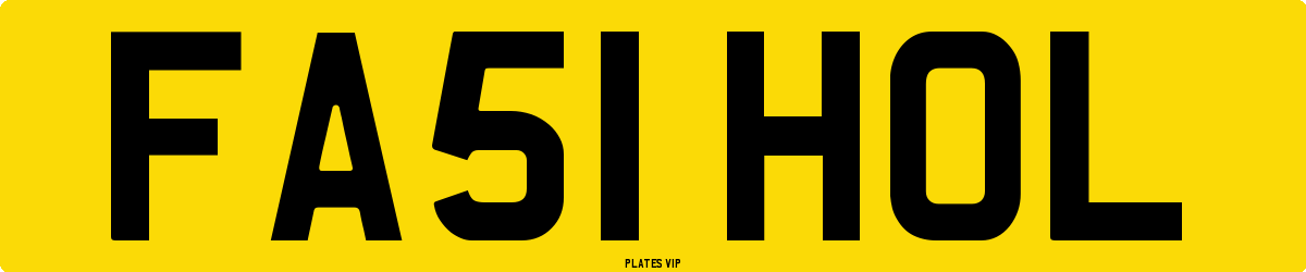 FA51 HOL Number Plate