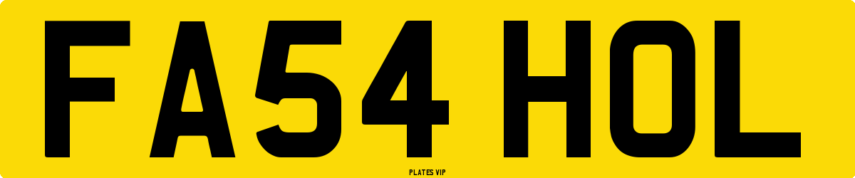 FA54 HOL Number Plate