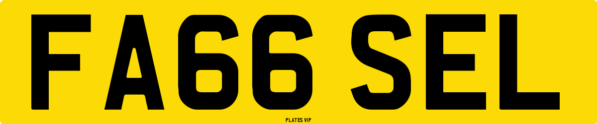 FA66 SEL Number Plate