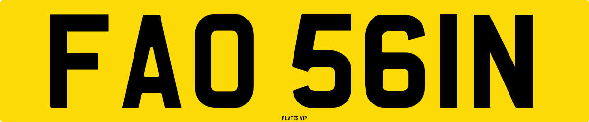 FAO 561N Number Plate
